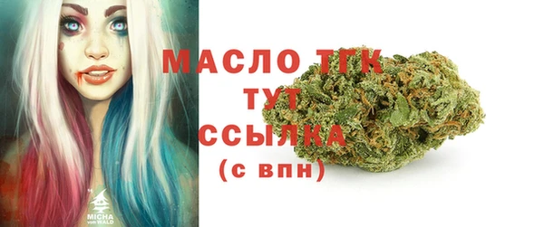 гидропоника Алзамай