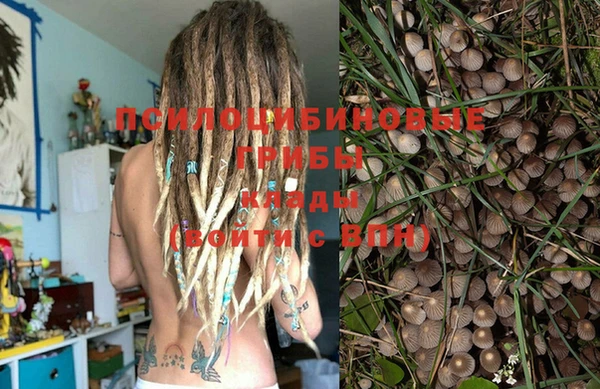 гидропоника Алзамай