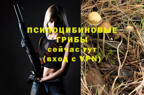 гидропоника Алзамай