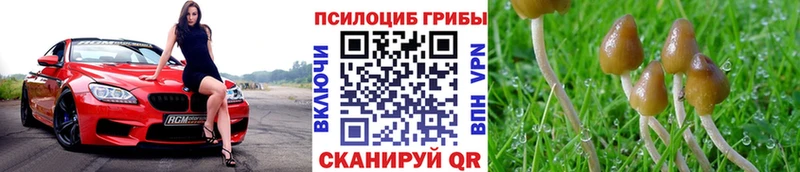 Галлюциногенные грибы ЛСД  магазин  наркотиков  Амурск 